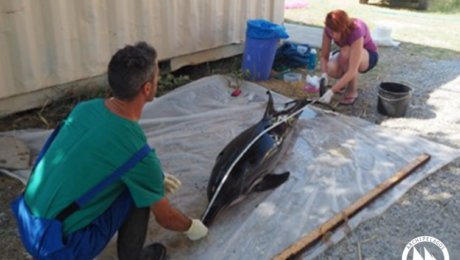 feature image for website