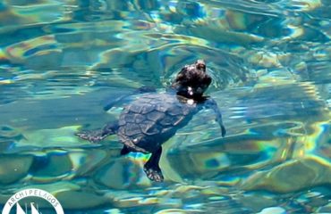 Παρουσίαση1