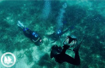 39575590_10155755460140878_2513485767234289664_o