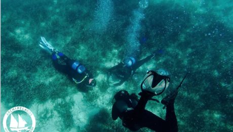 39575590_10155755460140878_2513485767234289664_o