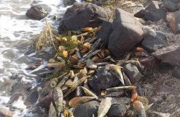 e99f7210-a2c4-4e37-b3dd-1f7f2033fbb0