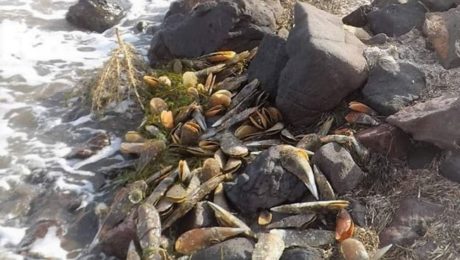 e99f7210-a2c4-4e37-b3dd-1f7f2033fbb0