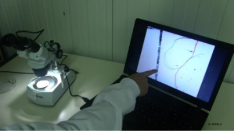 microplastik found under microscope