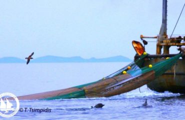 49345177_10156075585550878_5501487548624535552_n