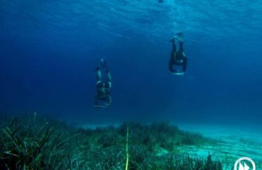 50592018_10156092329740878_1668942308889853952_n