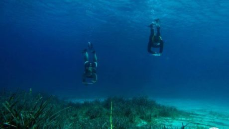 50592018_10156092329740878_1668942308889853952_n