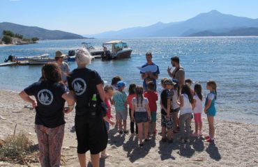 50684005_10156106989545878_8279059769579274240_o