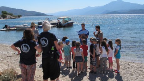 50684005_10156106989545878_8279059769579274240_o