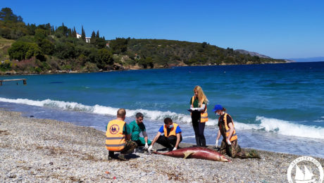 IMG_20190324_125445 (2)