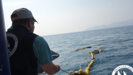 59781243_10156336192810878_9147607928990072832_n