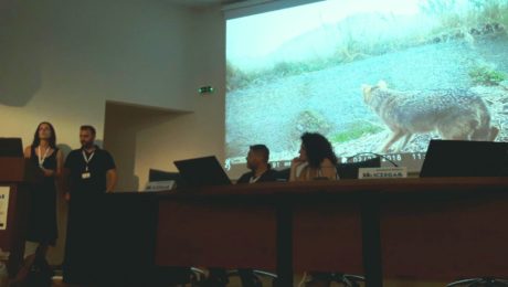 golden jackal conference