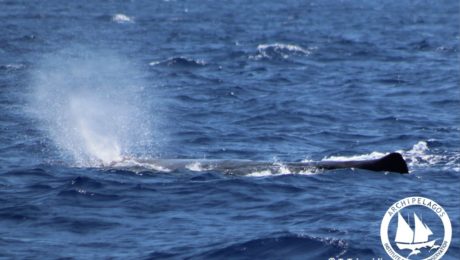 69448194_10156595226245878_2579714343327236096_o