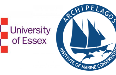 70224942_10156633502290878_1822074995552026624_n