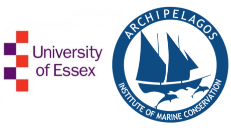 70224942_10156633502290878_1822074995552026624_n