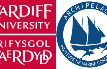 71085656_10156652699945878_622660233742778368_n