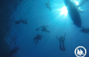 71337090_10156664644410878_7910384406865379328_n