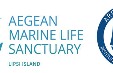 72136057_10156692268280878_6315402199316824064_n