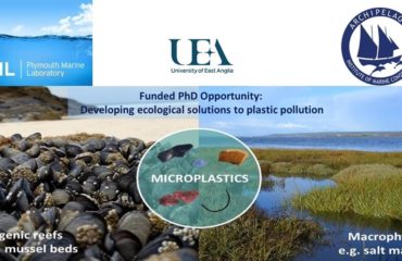 75179907_10156719626255878_8501627397219549184_n