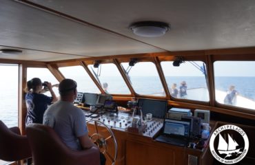 Aegean Explorer Logo 2