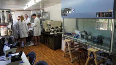 new marine conservation 13