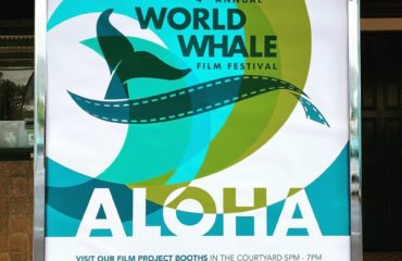 maui whale film festival2