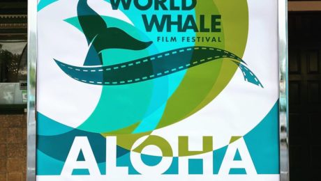 maui whale film festival2