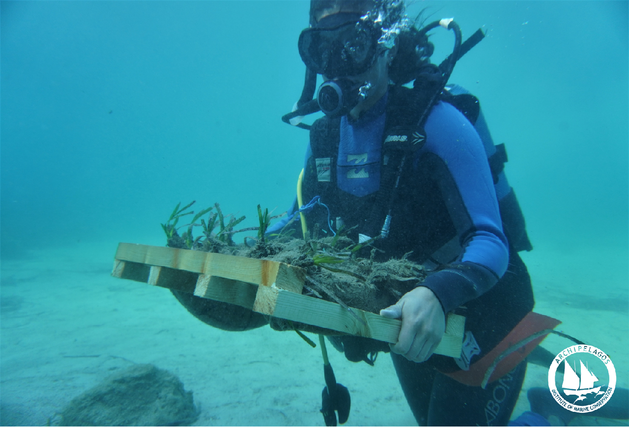 4 Actions 3 REPLANTING Β