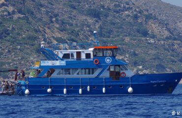 119085870_10157669485240878_4674057877710328388_o