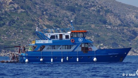 119085870_10157669485240878_4674057877710328388_o