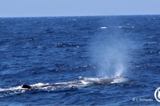 121112807_10157738900200878_2535310884780489054_o