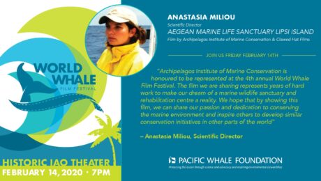 84883391_10157036313165878_8971754830972321792_o