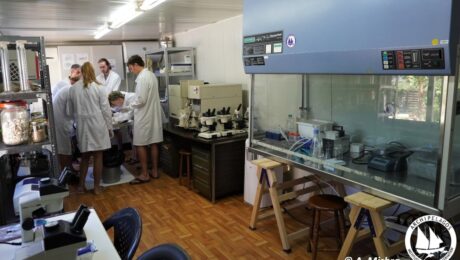 151990289_10158037130060878_6587291162138901281_o