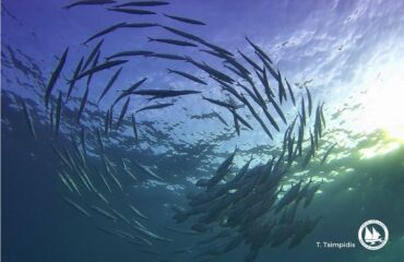 182632493_10158206129445878_5922987741758794066_n