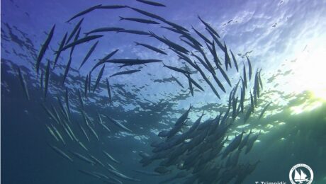 182632493_10158206129445878_5922987741758794066_n