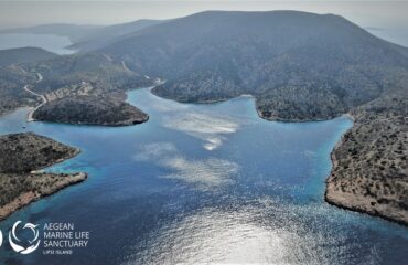 163755085_10158113211080878_7230220006072487344_n