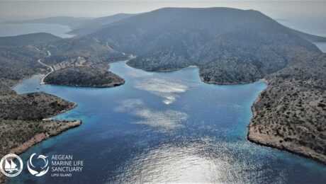 163755085_10158113211080878_7230220006072487344_n