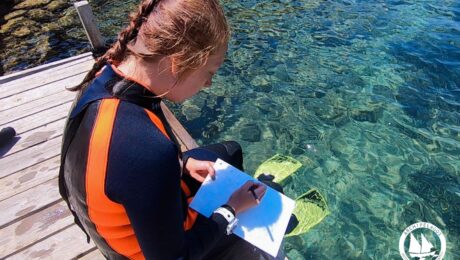 Photo horizontal 1620×1080 (3:2)