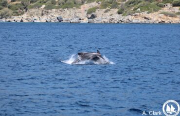 article2 photo extra