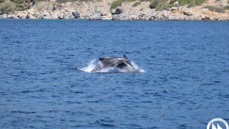 article2 photo extra