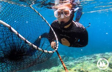 Photo horizontal 1620×1080 (3:2)