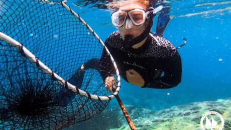 Photo horizontal 1620×1080 (3:2)