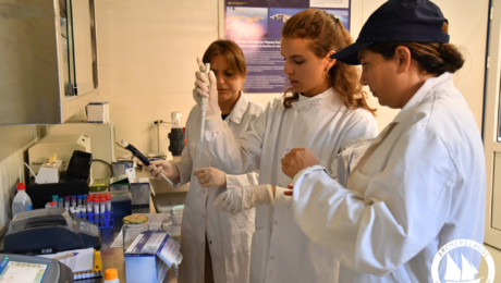 microplastics lab (2)