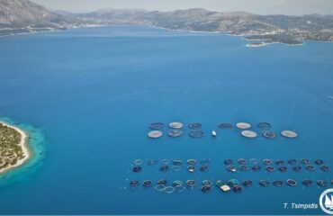 Ενημερωτική Ημερίδα για την Περιοχή Ολοκληρωμένης Ανάπτυξης Υδατοκαλλιέργειας (ΠΟΑΥ) Εχινάδων νήσων και Αιτωλοακαρνανίας