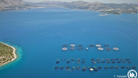 Ενημερωτική Ημερίδα για την Περιοχή Ολοκληρωμένης Ανάπτυξης Υδατοκαλλιέργειας (ΠΟΑΥ) Εχινάδων νήσων και Αιτωλοακαρνανίας