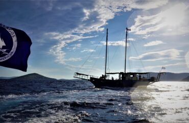 Archipelagos Fleet Πηνελοπη