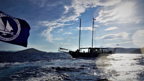 Archipelagos Fleet Πηνελοπη