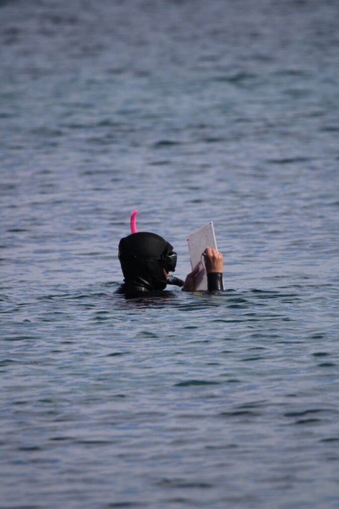 Archipelagos international school of the sea