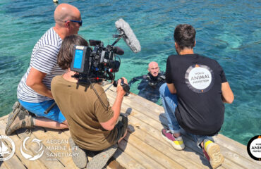 World Animal Protection WAP στηρίζει το Καταφύγιο Θαλάσσιας Ζωής