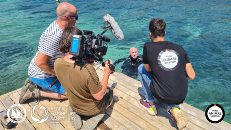 WAP στηρίζει το Καταφύγιο Θαλάσσιας Ζωής