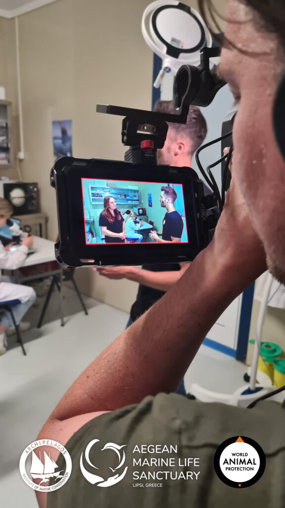 WAP στηρίζει το Καταφύγιο Θαλάσσιας Ζωής